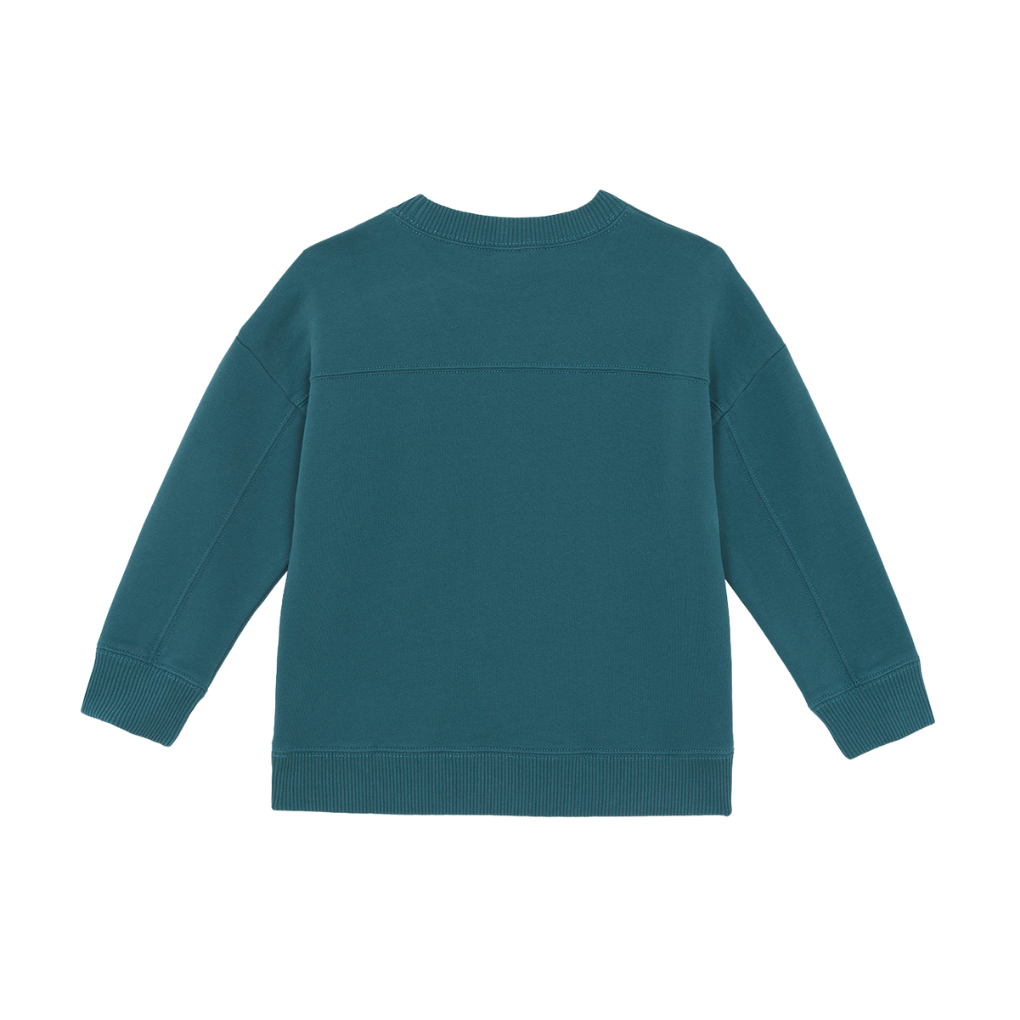 Sweater Winter Sport
