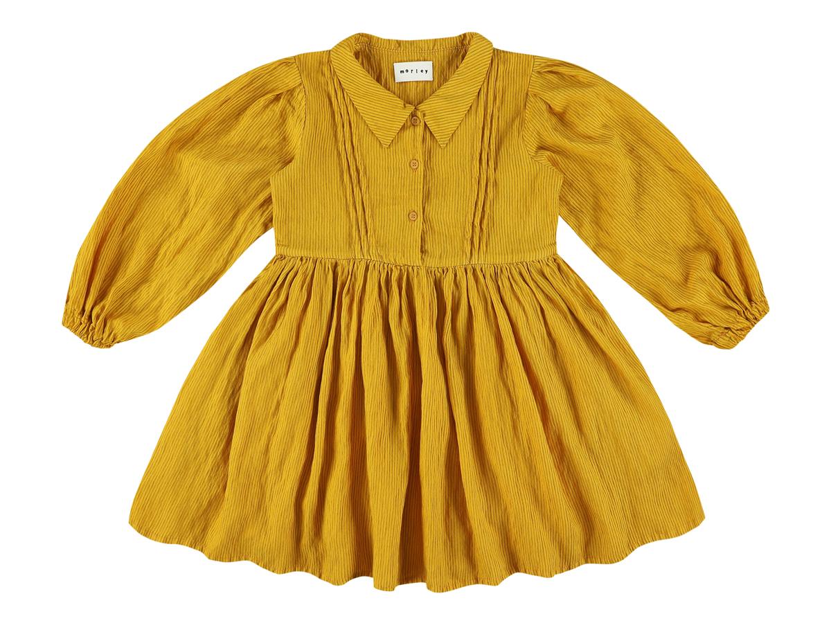 Dress Robin Chana Kurkuma