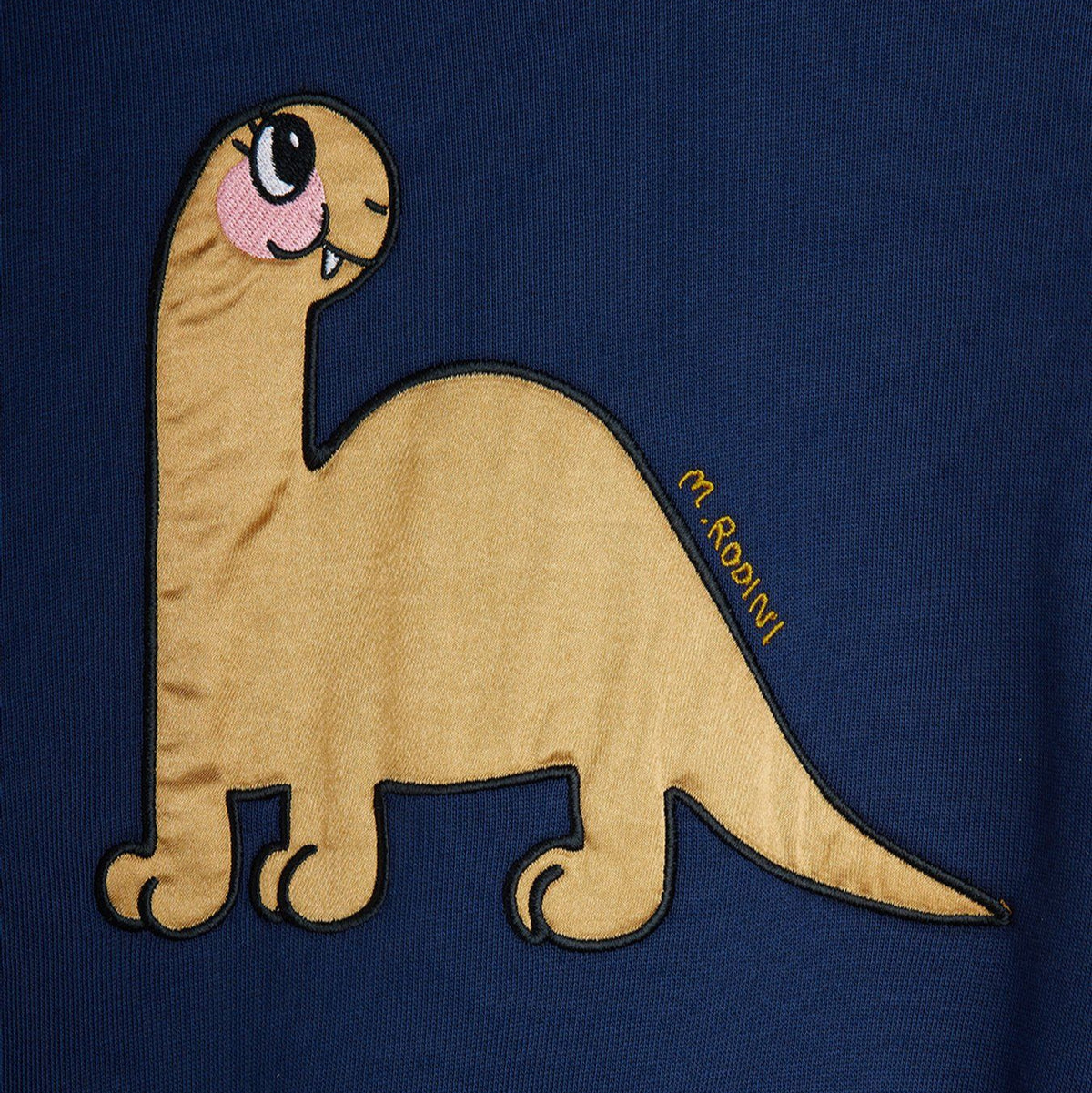 Dino Sweatshirt