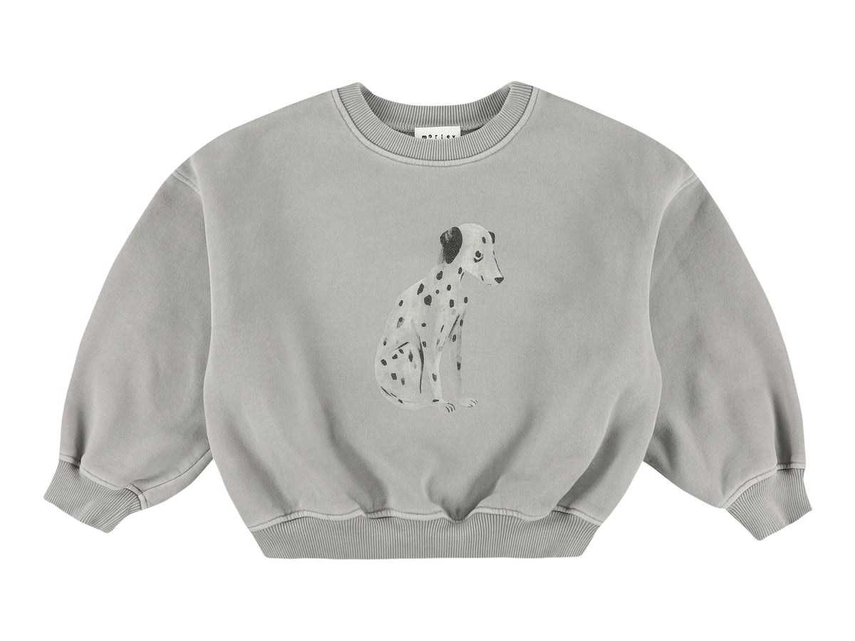 Sweater Zaragoza Dalmatiner