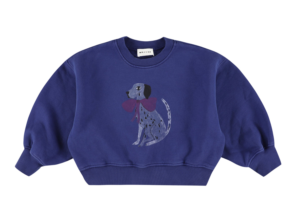 Sweater zyco bowdog bic