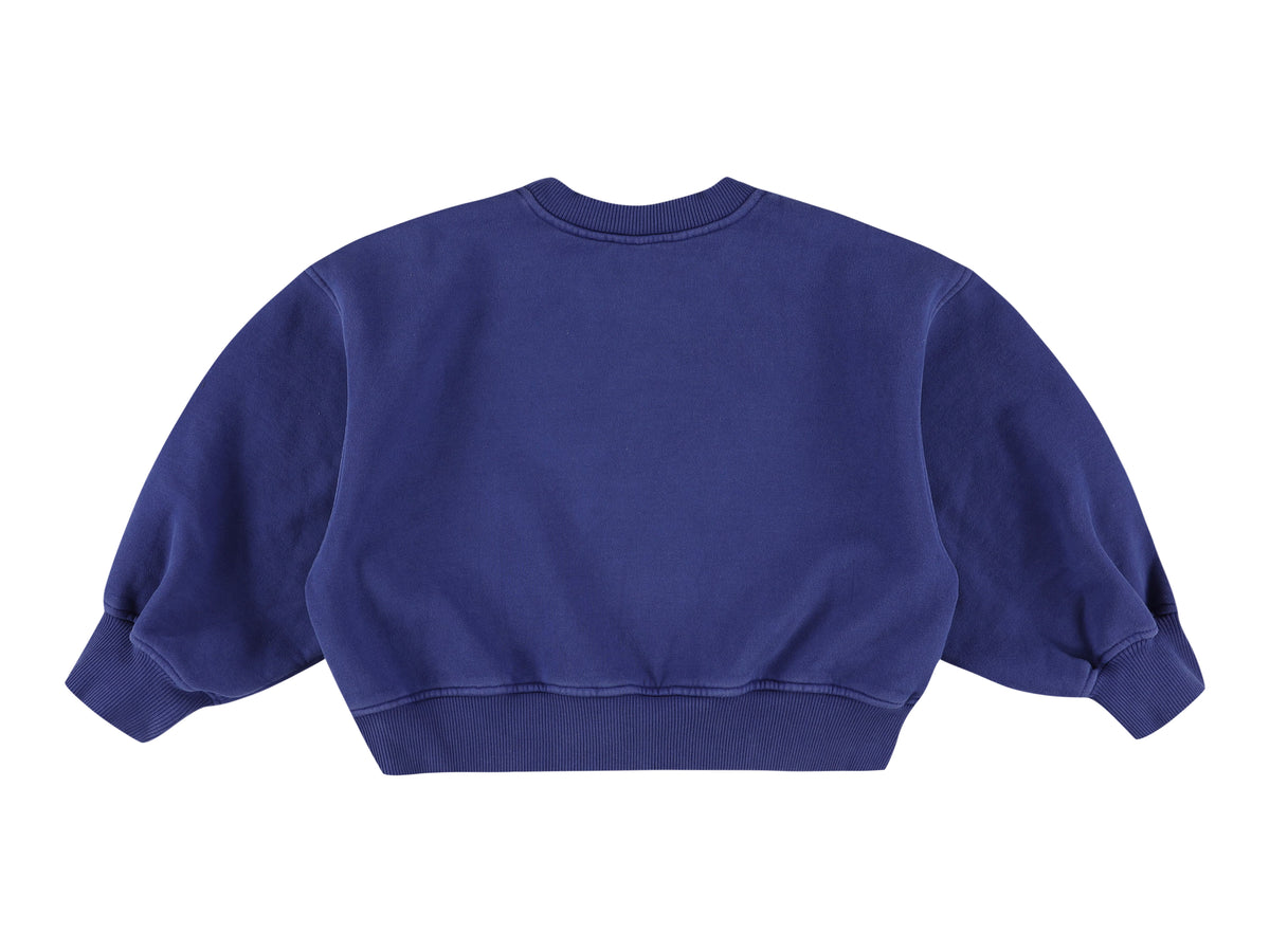 Sweater zyco bowdog bic