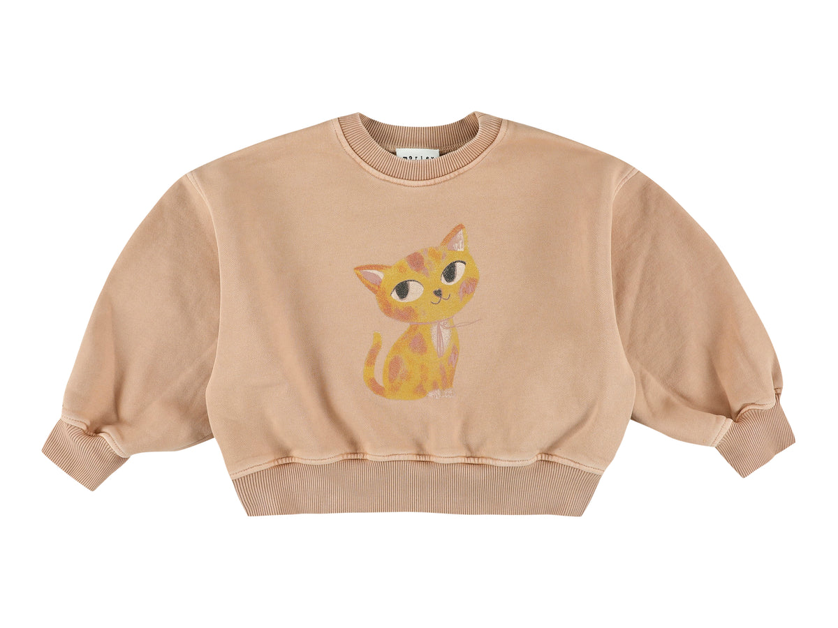 Sweater zyco japcat powder