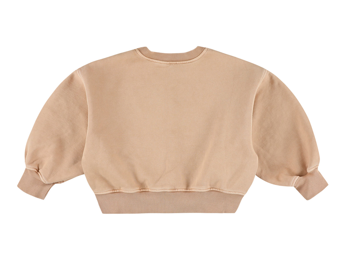 Sweater zyco japcat powder