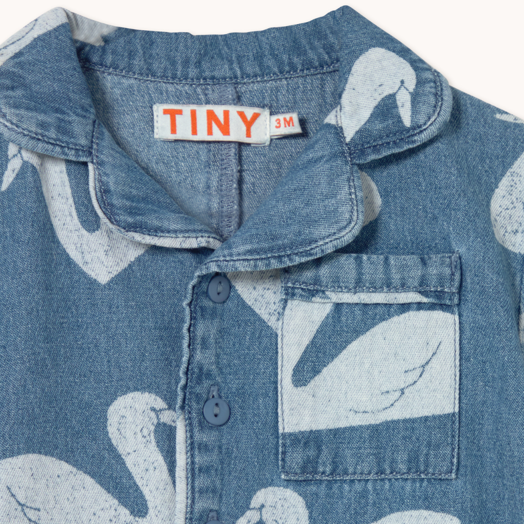 Big Swans Baby One-Piece