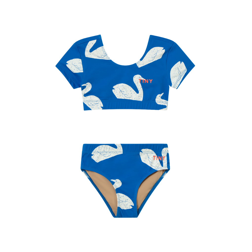 Big Swans Swim Set