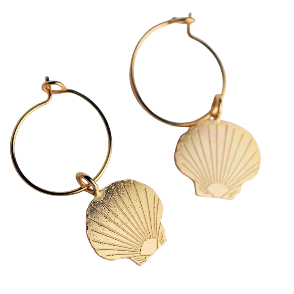 Creolen Muscheln gross