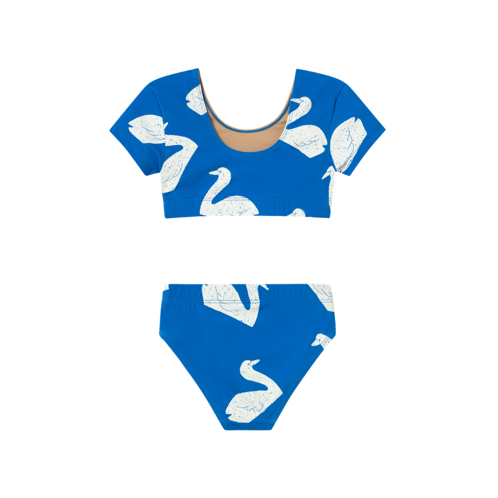 Big Swans Swim Set