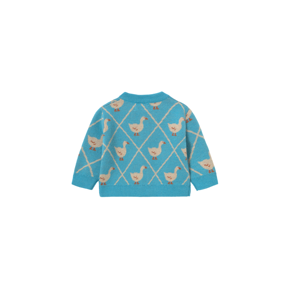Baby Cardigan