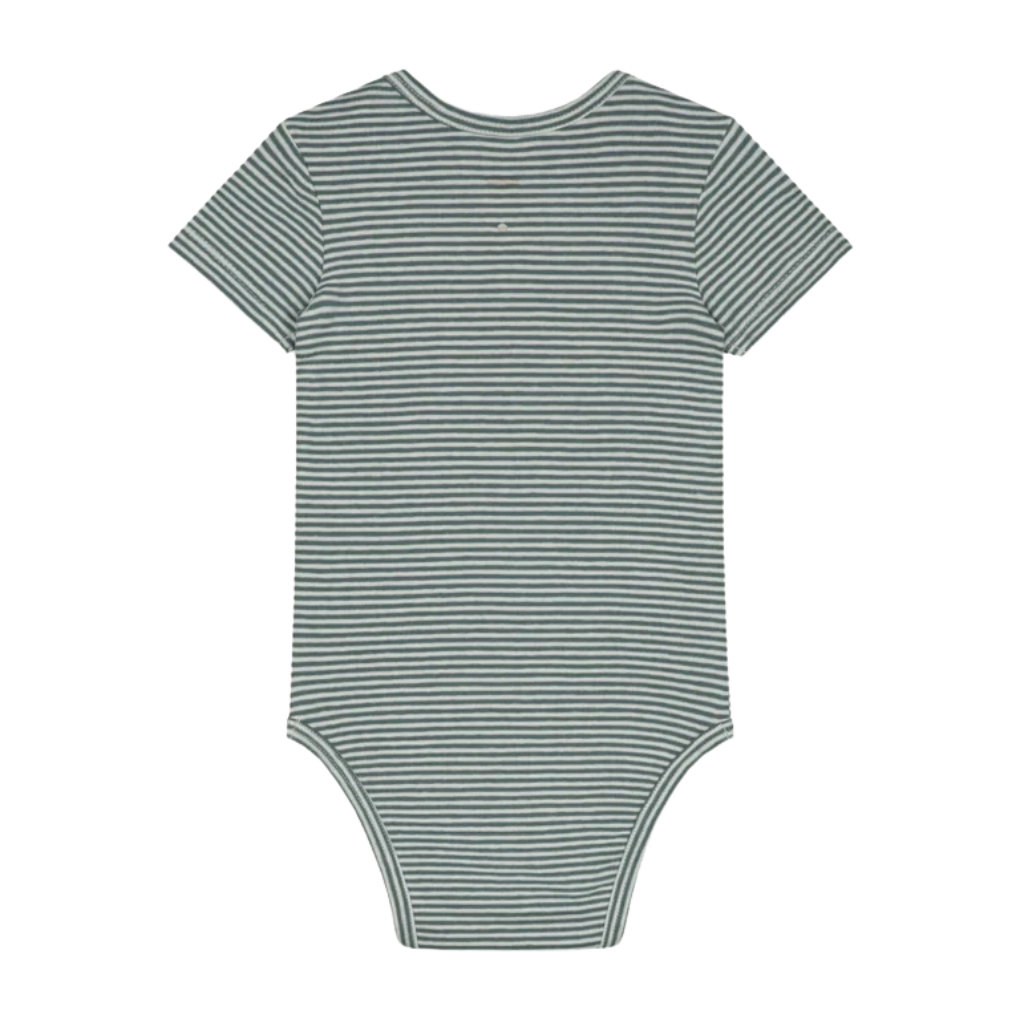 Body Blue Grey striped