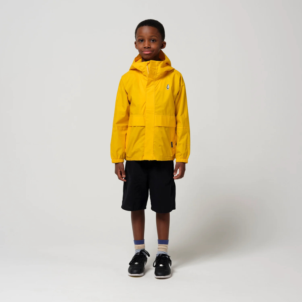 The Lion bumblebee yellow