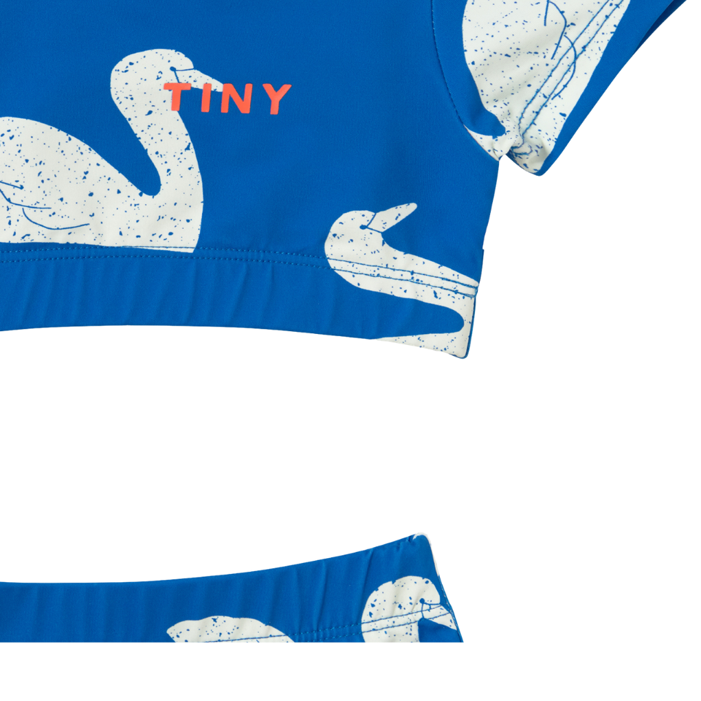 Big Swans Swim Set