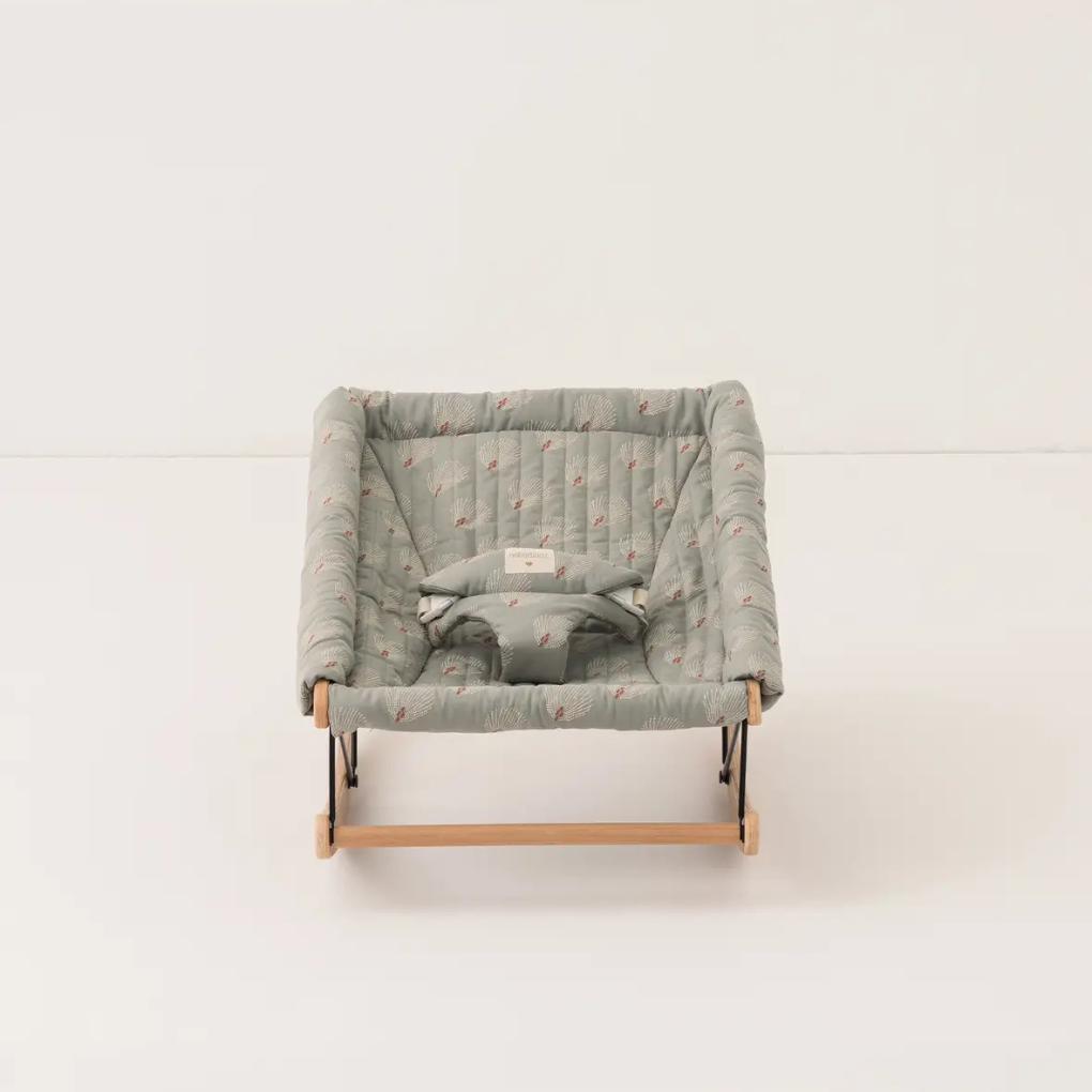 Baby Bouncer