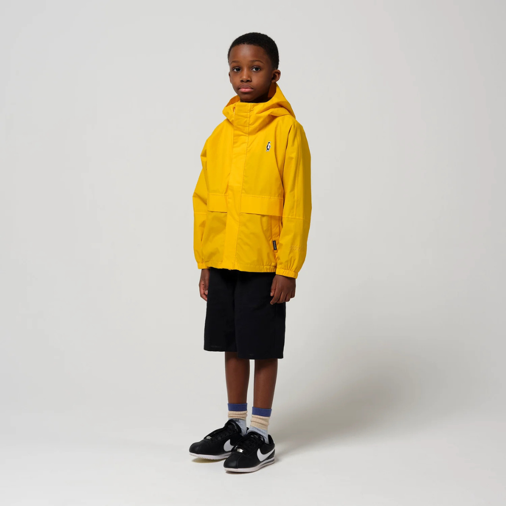 The Lion bumblebee yellow