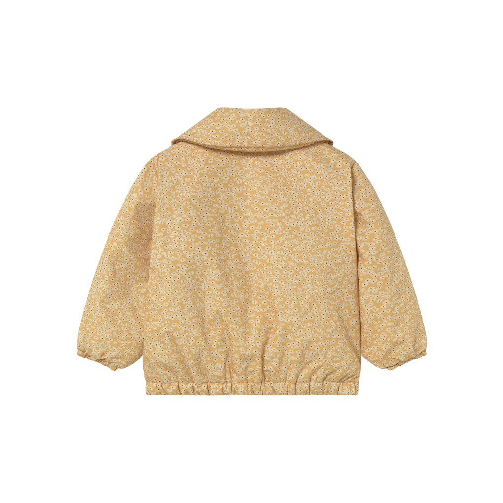 Lambswool Cardigan
