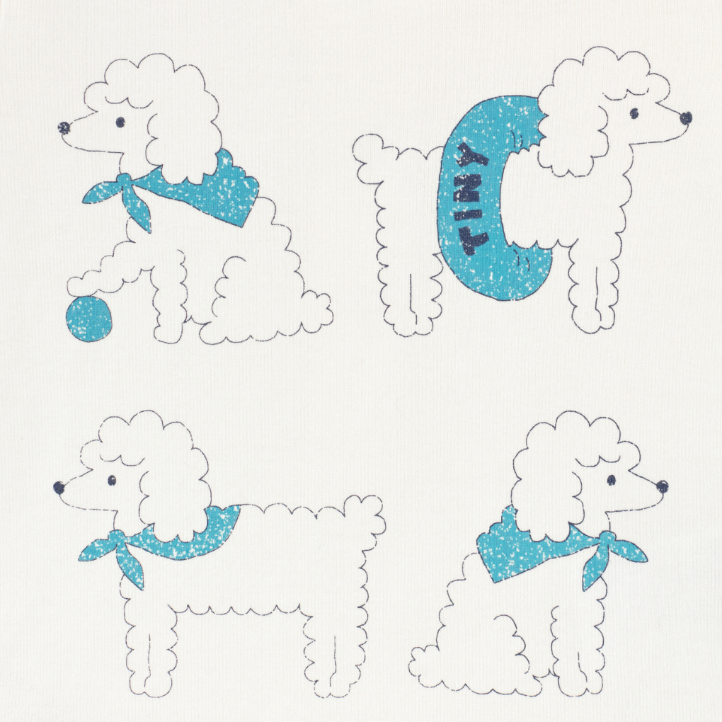 Poodle Graphic Body