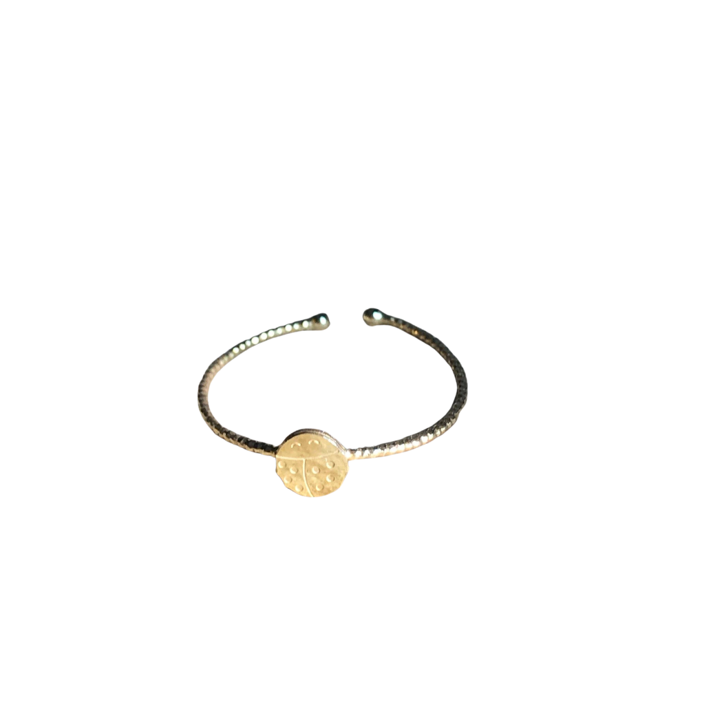 Verstellbarer Ring-Marienkäfer