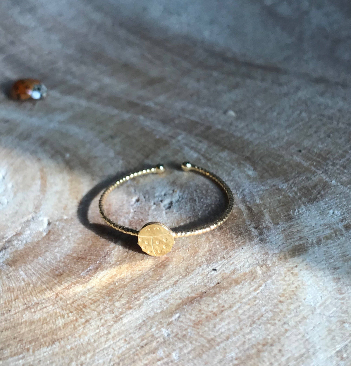 Verstellbarer Ring-Marienkäfer