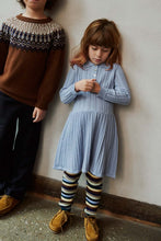 Lade das Bild in den Galerie-Viewer, Fair Isle Pullover, bernsteinfarben
