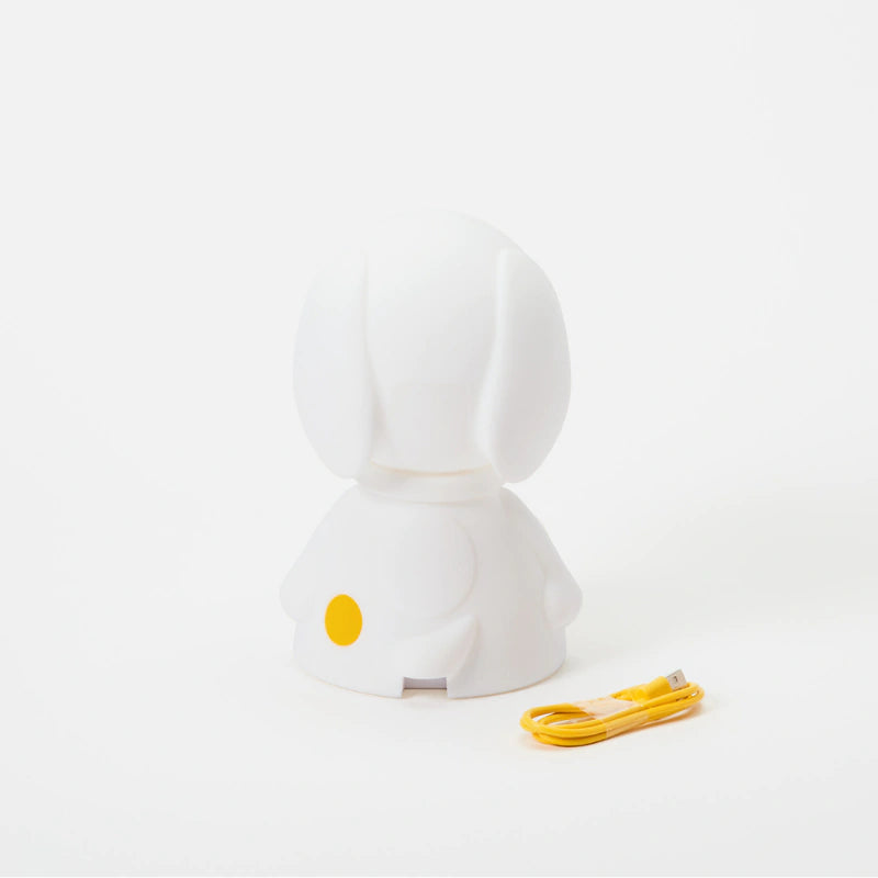 Miffy and Friends First Light